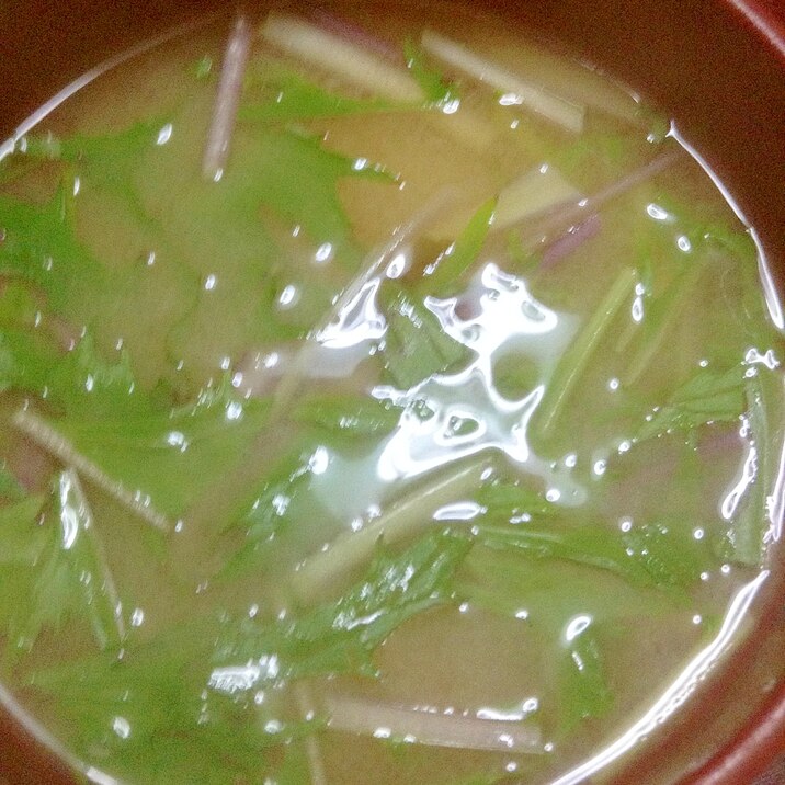 赤水菜と玉ねぎの味噌汁【血液サラサラ食材】